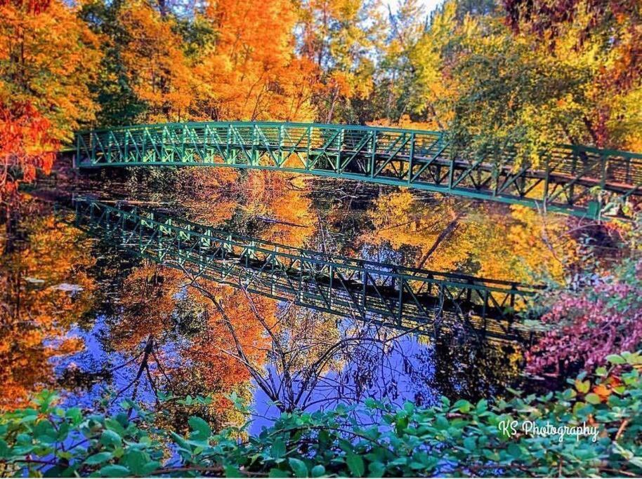 Bear Mountain - Suite 1 Grants Pass Esterno foto